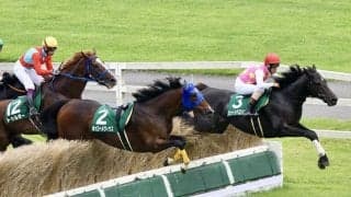 【東京ジャンプS】ジューンベロシティが連覇…ホッコーメヴィウスはいきなり落馬の波乱