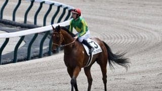 【新馬/東京6R】サトノカルナバルが7馬身差圧巻V