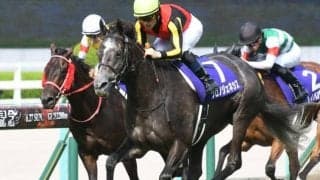 【宝塚記念】牡馬vs牝馬vsセン馬 それぞれの割合は？