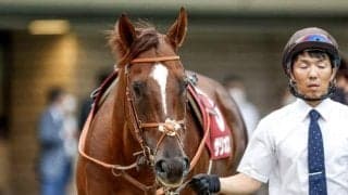 一族に大物ズラリ サラコスティがルメール騎手でデビューVなるか