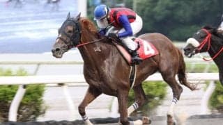 【高知・御畳瀬特別】ユメノホノオ快勝も…吉原「ちょっと物足りない感じ」