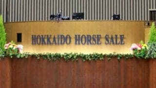 北海道市場サマーセールの日程を延長 上場申し込み多数で今年は6日間開催に