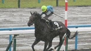 宝塚記念は道悪適性を重視 ブローザホーン＆シュトルーヴェに注目