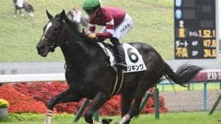 【京都5R新馬戦結果】断然人気のエリキングが完勝 キズナ産駒の2億円ホース