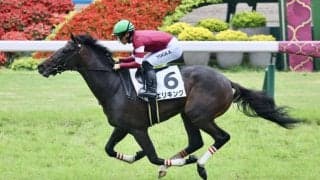 【新馬/京都5R】2億円ホース・エリキングがデビュー勝ち