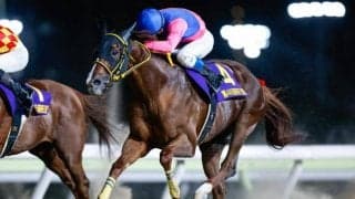 【大井・帝王賞枠順】3連覇かかるメイショウハリオは7枠11番