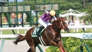 【北九州記念】ジャスパークローネ、ピューロマジックらが登録