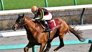 夏競馬の開幕に2重賞 大井では上半期のダート王決定戦・帝王賞/今週の競馬界の見どころ