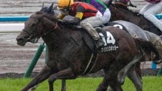 【北九州記念見どころ】小倉2戦2勝のエイシンスポッターの連勝を期待