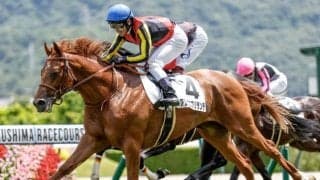 【ラジオNIKEEI賞見どころ】新馬勝ちの地で近走の鬱憤晴らすアレグロブリランテ