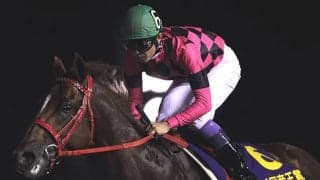 1位は武豊騎手との9馬身差圧勝で“2分1秒1” 帝王賞の勝ち時計ベスト3