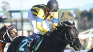 【先週のJRA抹消馬】ディープ最終世代の重賞馬ライトクオンタム、ダートで活躍のアイオライトやキリンジなど