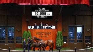 コントレイル産駒初上場で5.2億円ホース誕生 昨年のセレクトセールを振り返る