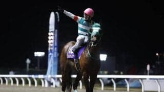 【帝王賞】地方馬14年ぶりの復権へ JpnI馬含む好メンバーがJRA勢に挑む