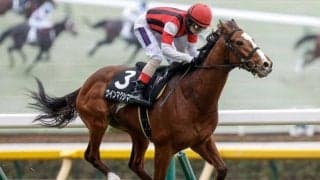 【AI予想・ラジオNIKKEI賞】前走の人気やレース格には要注意！ 本命候補は開幕週にぴったりな先行力豊かな3頭