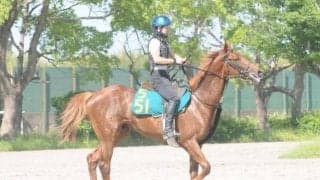 相沢郁厩舎にゆかりの血統 師も期待よせるマイネルアレス/関東馬メイクデビュー情報