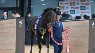 道悪への高い適性は母譲り？ 血統で振り返るブローザホーンの宝塚記念制覇