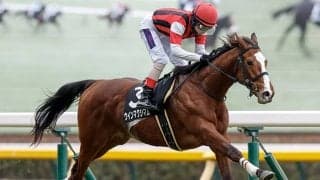 【ラジオNIKKEI賞想定騎手】ウインマクシマムは松岡正海騎手、サトノシュトラーセはM.デムーロ騎手