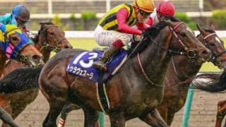 永島まなみ騎手が自厩舎の“大ベテラン”と北九州記念へ マーメイドSに続く重賞2勝目なるか