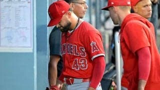 エ軍サンドバル、左肘手術で今季終了へ　大谷と対戦直後に異変…ド軍戦で緊急降板、米報道