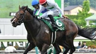 菊にも盾にもマイルにもつながる！ ラジオNIKKEI賞好走馬のその後を追う