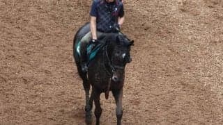 サマーセントの2022(センツブラッド)など、先週のゲート試験/栗東トレセンニュース