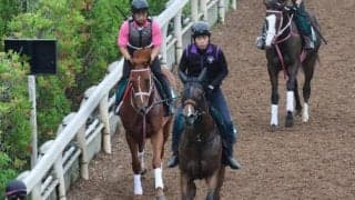 ラヴァブルなど、先週の入厩情報/栗東トレセンニュース