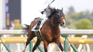 19年のダービー馬ロジャーバローズが急死