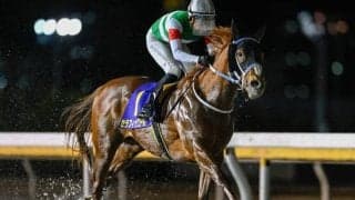 【帝王賞予想】虎石晃記者が語る“出資馬よりも”本命にしたい一頭とは？