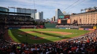 打球速度174キロのファウルボールを素手でつかみ取る！ ファンによる“史上最高のキャッチ”と現地でも話題に