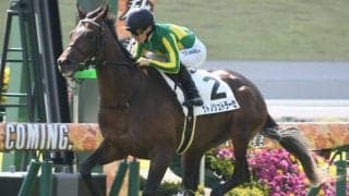 【ラジオNIKKEI賞予想オッズ】サトノシュトラーセが予想1番人気