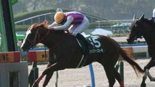 【北九州記念予想オッズ】ジャスパークローネが予想1番人気