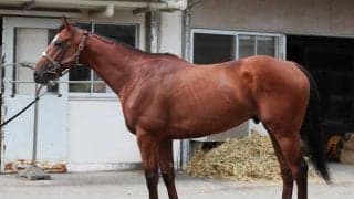 福島適性◎、道悪も問題ナシ ラジオNIKKEI賞で期待を寄せた「メンバー中で将来性No.1」の馬とは