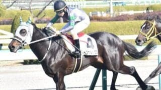 【北九州記念展望】開幕週に移動して先行馬が優勢となりそう