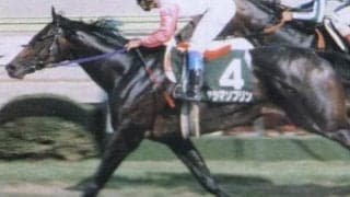 後のGI馬2頭を制して日本ダービー3着馬が重賞初制覇 豪華メンバーのラジオたんぱ賞から30年