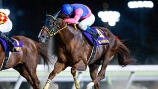 【帝王賞】快挙がかかるメイショウハリオ 同一JpnIで3連覇なら史上6頭目 