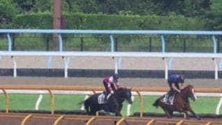 レッドラディエンス、七夕賞1週前追い切り速報/栗東トレセンニュース