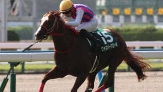 北九州記念レース史上初の偉業へ 昨夏重賞連勝の快足馬が連覇狙う