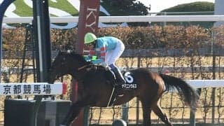 【プロキオンS想定】ヤマニンウルス、ブルーサンなど18頭