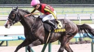 今年既にキャリアハイ更新中 3年目の若武者が相性抜群の藤原英昭厩舎とのタッグで重賞初V狙う