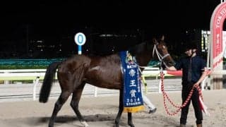 【帝王賞】寺島師「安心して見てられた」キングズソードが快勝