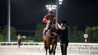 【帝王賞】売得金は微増…キングズソードが快勝