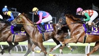 【帝王賞】浜中「悪い条件重なった」メイショウハリオ三連覇ならず