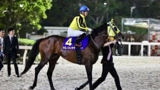 【帝王賞】西「雰囲気も変わってくると思う」大井サヨノネイチヤは5着