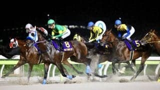 【帝王賞】川田「勝ち馬が強かったです」レース後ジョッキーコメント