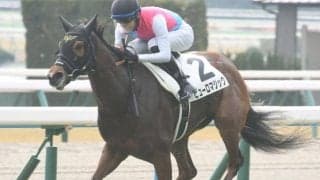 【北九州記念出走馬・騎手確定】ピューロマジック＆松山弘平騎手、ジャスパークローネ＆団野大成騎手など18頭