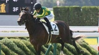 【ラジオNIKKEI賞出走馬・騎手確定】サトノシュトラーセ＆M.デムーロ騎手、ウインマクシマム＆松岡正海騎手など12頭