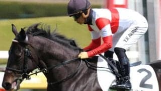 三冠牝馬の半弟にあたる3.7億円馬 デビュー2戦目で未勝利脱出を目指す