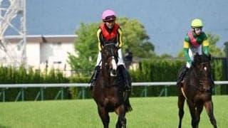 【ラジオNIKKEI賞枠順確定】ミナデオロは7枠10番、ウインマクシマムは5枠6番