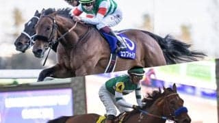 エフフォーリア＆サリオスや“計71馬身差”をつけた米の怪物も セレクトセール初上場の新種牡馬を紹介